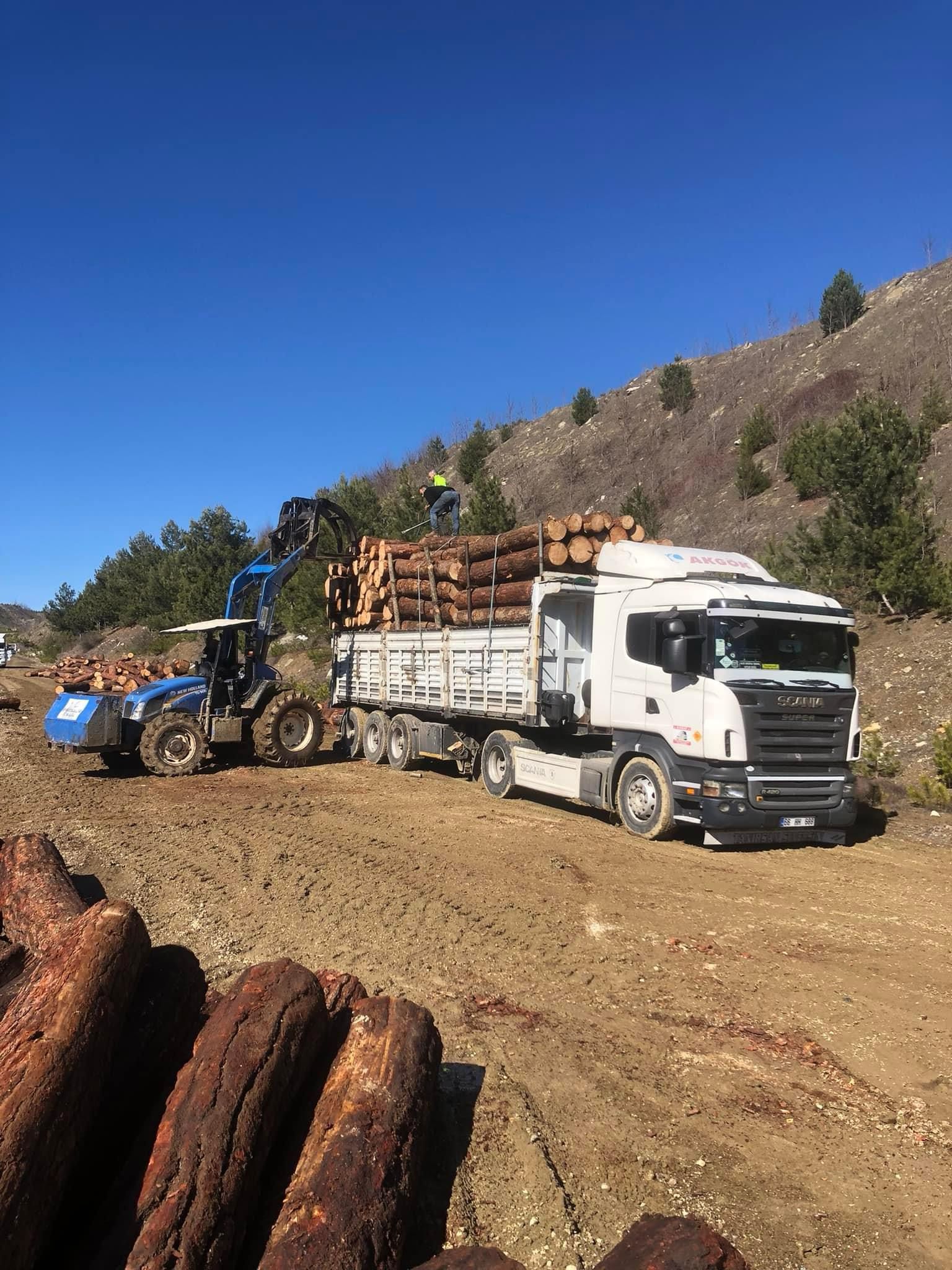 Şanver Orman Ürünleri ve Nakliye